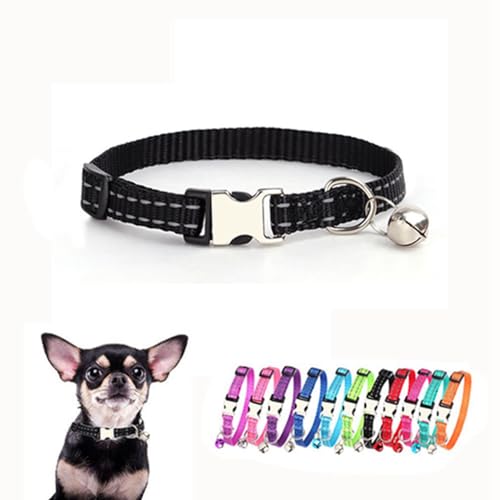 XS Hundehalsband mit Glöckchen, Nylon, reflektierende Metallschnalle, Größe XS, Welpenhalsbänder für Welpen, Kätzchen, Haustiere, Katzen, Mädchen, Jungen, Kleintiere XS Hundehalsband mit Glöckchen, Nylon, reflektierende Metallschnalle, Größe XS, Welpenhalsbänder für Welpen, Kätzchen, Haustiere, Katzen, Mädchen, Jungen, Kleintiere von ONEFOJOJO