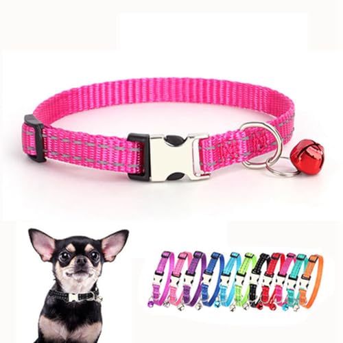 XS Hundehalsband mit Glöckchen, Nylon, reflektierende Metallschnalle, Größe XS, Welpenhalsbänder für Welpen, Kätzchen, Haustiere, Katzen, Mädchen, Jungen, Kleintiere XS Hundehalsband mit Glöckchen, Nylon, reflektierende Metallschnalle, Größe XS, Welpenhalsbänder für Welpen, Kätzchen, Haustiere, Katzen, Mädchen, Jungen, Kleintiere von ONEFOJOJO