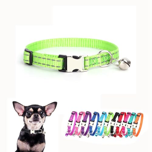 XS Hundehalsband mit Glöckchen, Nylon, reflektierende Metallschnalle, Größe XS, Welpenhalsbänder für Welpen, Kätzchen, Haustiere, Katzen, Mädchen, Jungen, Kleintiere XS Hundehalsband mit Glöckchen, Nylon, reflektierende Metallschnalle, Größe XS, Welpenhalsbänder für Welpen, Kätzchen, Haustiere, Katzen, Mädchen, Jungen, Kleintiere von ONEFOJOJO