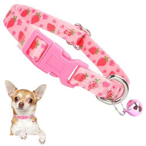 XS Hundehalsband mit Glöckchen, strapazierfähiges Nylon-Halsband für kleine Rassen, verstellbar, niedliches Obstmuster, Halsband für Chihuahua, Zwergspitz, Yorkie, strapazierfähig für aktive Welpen XS Hundehalsband mit Glöckchen, strapazierfähiges Nylon-Halsband für kleine Rassen, verstellbar, niedliches Obstmuster, Halsband für Chihuahua, Zwergspitz, Yorkie, strapazierfähig für aktive Welpen von ONEFOJOJO