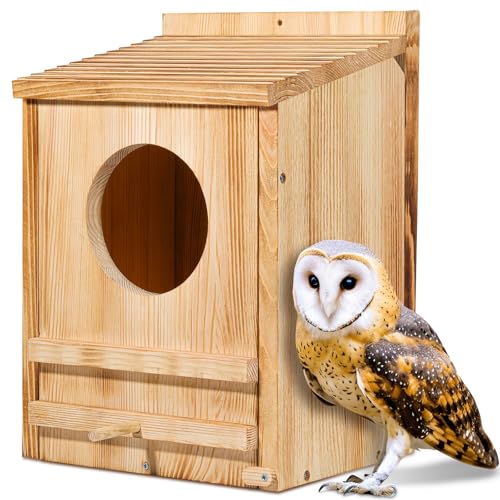 Eule Haus, Eule Vogelhaus Groß Handgemacht Holz Kreise Öffnung Kreischbox von ONKO