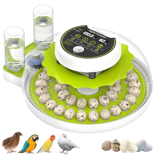 Wachteleier mit automatischem Wender und Feuchtigkeitskontrolle, kleines Bruttier, Geflügelei-Brutkasten im Freien, geeignet für Wachteln, Papageien, Kanarienvögel und andere Vögel (Grün 02) von ONKO