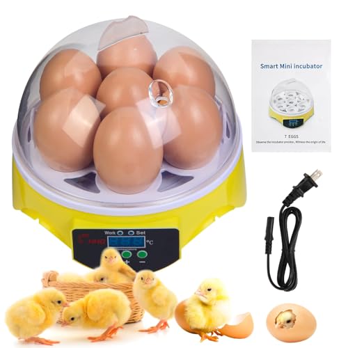Wachteleier mit automatischem Wender und Luftfeuchtigkeitskontrolle, kleiner Wachtelbrut, Geflügelei-Brutkasten im Freien, geeignet für Papageien, Kanarienvögel und andere Vögel (Grün 04) von ONKO