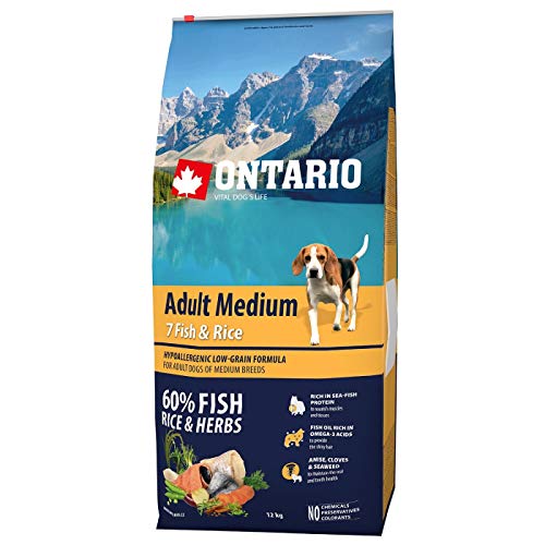 ONTARIO Futter für Hunde Erwachsene Rassen mittel - Fisch und Reis - 12 kg von ONTARIO