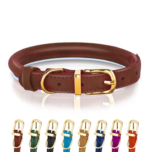 Hundehalsband aus gerolltem Leder - Leder Welpenhalsbänder für kleine Hunde Katzen - Runde Hundehalsbänder für mittelgroße Hunde - Weich Gepolstert (18-23cm, Braun) von OOPSDOGGY