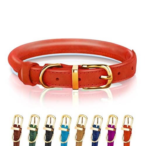 Hundehalsband aus gerolltem Leder - Leder Welpenhalsbänder für kleine Hunde Katzen - Runde Hundehalsbänder für mittelgroße Hunde - Weich Gepolstert (18-23cm, Rot) von OOPSDOGGY