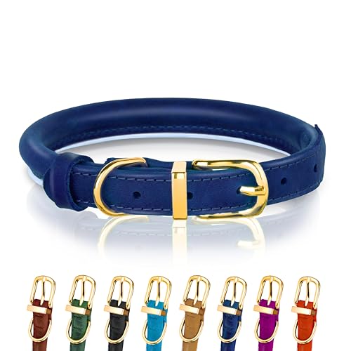 Hundehalsband aus gerolltem Leder - Leder Welpenhalsbänder für kleine Hunde Katzen - Runde Hundehalsbänder für mittelgroße Hunde - Weich Gepolstert (20-28cm, Blau) von OOPSDOGGY