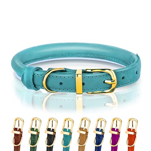 Hundehalsband aus gerolltem Leder - Leder Welpenhalsbänder für kleine Hunde Katzen - Runde Hundehalsbänder für mittelgroße Hunde - Weich Gepolstert (20-28cm, Hellblau) von OOPSDOGGY