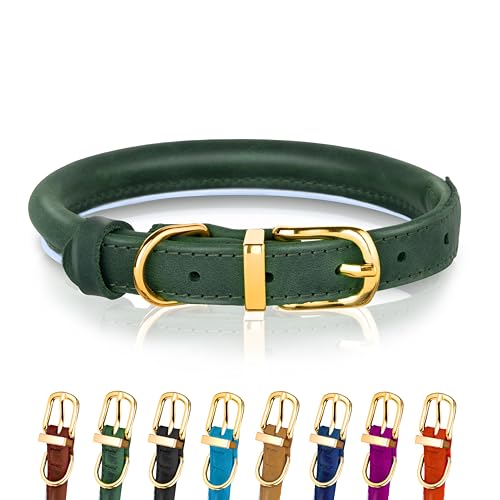 Hundehalsband aus gerolltem Leder - Leder Welpenhalsbänder für kleine Hunde Katzen - Runde Hundehalsbänder für mittelgroße Hunde - Weich Gepolstert (25-33cm, Grün) von OOPSDOGGY