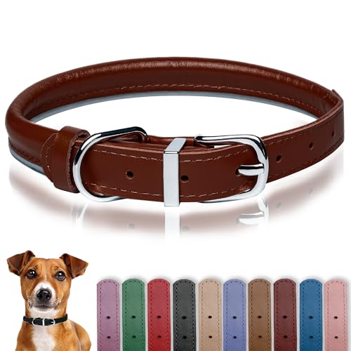 OOPSDOGGY Hundehalsband aus gerolltem Leder, reflektierend, für kleine, mittelgroße und große Hunde, Welpen, (Cognac, XXS, 17–22 cm) von OOPSDOGGY