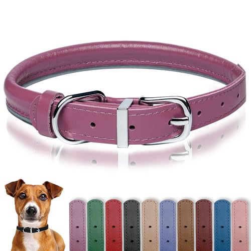OOPSDOGGY Hundehalsband aus gerolltem Leder, reflektierend, für kleine, mittelgroße und große Hunde, Welpen, Fuchsia, XXS, 17–22 cm OOPSDOGGY Hundehalsband aus gerolltem Leder, reflektierend, für kleine, mittelgroße und große Hunde, Welpen, Fuchsia, XXS, 17–22 cm von OOPSDOGGY