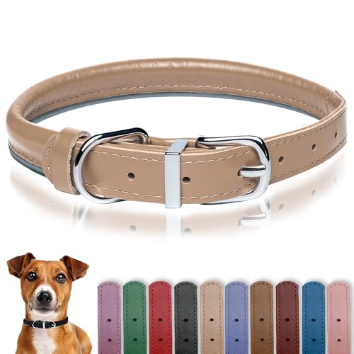 OOPSDOGGY Hundehalsband aus gerolltem Leder, reflektierend, für kleine, mittelgroße und große Hunde, Welpen (Beige, L, 35–45 cm) von OOPSDOGGY