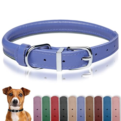 OOPSDOGGY Hundehalsband aus gerolltem Leder, reflektierend, für kleine, mittelgroße und große Hunde, Welpen (Blau, XL, 43–53 cm) von OOPSDOGGY