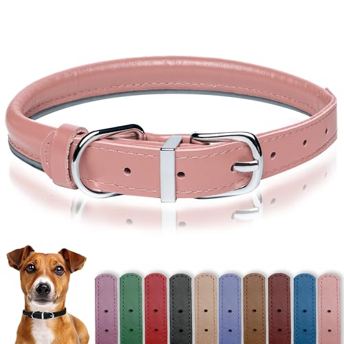 OOPSDOGGY Hundehalsband aus gerolltem Leder, reflektierend, für kleine, mittelgroße und große Hunde, Welpen (Blush, XXL, 50–60 cm) von OOPSDOGGY