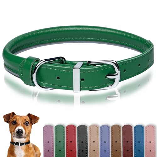 OOPSDOGGY Hundehalsband aus gerolltem Leder, reflektierend, für kleine, mittelgroße und große Hunde, Welpen (Grün, XS, 20–27 cm) von OOPSDOGGY