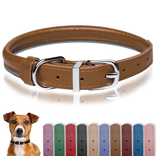 OOPSDOGGY Hundehalsband aus gerolltem Leder, reflektierend, für kleine, mittelgroße und große Hunde, Welpen (Karamell, L, 35–45 cm) von OOPSDOGGY