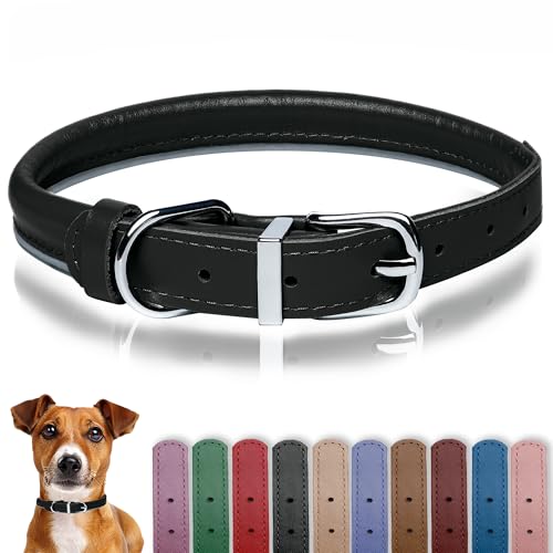 OOPSDOGGY Hundehalsband aus gerolltem Leder, reflektierend, für kleine, mittelgroße und große Hunde, Welpen (Schwarz, L, 35–45 cm) von OOPSDOGGY