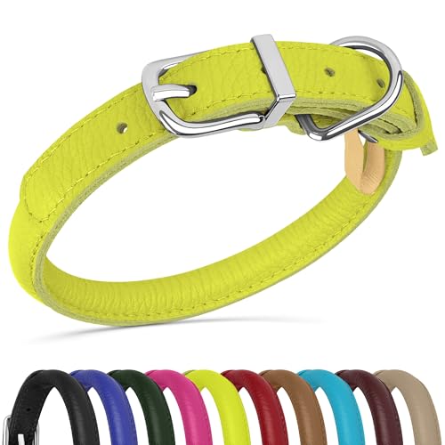 OOPSDOGGY Hundehalsband aus gerolltem Leder, weich, für kleine, mittelgroße und große Hunde, Welpen, Limettengrün, Größe M, 30,5 - 38,1 cm OOPSDOGGY Hundehalsband aus gerolltem Leder, weich, für kleine, mittelgroße und große Hunde, Welpen, Limettengrün, Größe M, 30,5 - 38,1 cm von OOPSDOGGY