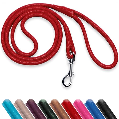 OOPSDOGGY Hundeleine aus gerolltem Leder, 1,8 m, robuste Trainingsleine für kleine, mittelgroße und große Hunde und Welpen, Schwarz, Braun, Rot, Größe L OOPSDOGGY Hundeleine aus gerolltem Leder, 1,8 m, robuste Trainingsleine für kleine, mittelgroße und große Hunde und Welpen, Schwarz, Braun, Rot, Größe L von OOPSDOGGY