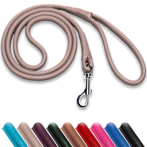 OOPSDOGGY Hundeleine aus gerolltem Leder, 1,8 m, robuste Trainingsleine für kleine, mittelgroße und große Hunde und Welpen, Schwarz, Braun, Rot (Beige, S) von OOPSDOGGY