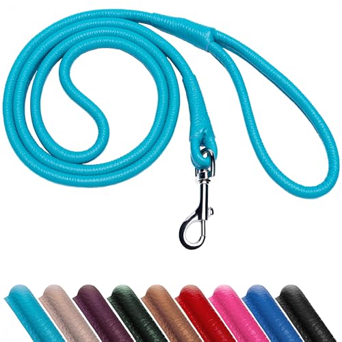 OOPSDOGGY Hundeleine aus gerolltem Leder, 1,8 m, robuste Trainingsleine für kleine, mittelgroße und große Hunde und Welpen, Schwarz, Braun, Rot (Blau, L) von OOPSDOGGY