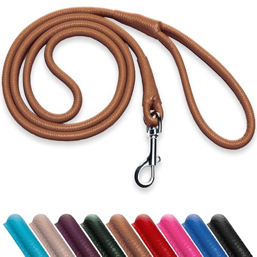 OOPSDOGGY Hundeleine aus gerolltem Leder, 1,8 m, robuste Trainingsleine für kleine, mittelgroße und große Hunde und Welpen, Schwarz, Braun, Rot (Braun, L) von OOPSDOGGY