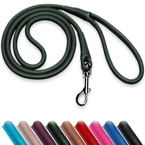 OOPSDOGGY Hundeleine aus gerolltem Leder, 1,8 m, robuste Trainingsleine für kleine, mittelgroße und große Hunde und Welpen, Schwarz, Braun, Rot (Grün, L) von OOPSDOGGY