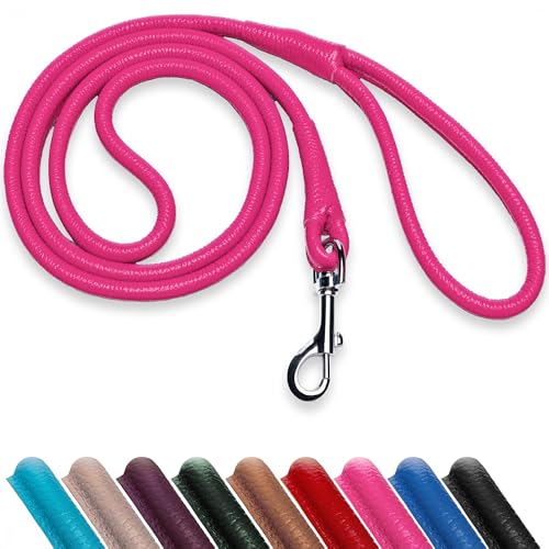 OOPSDOGGY Hundeleine aus gerolltem Leder, 1,8 m, robuste Trainingsleine für kleine, mittelgroße und große Hunde und Welpen, Schwarz, Braun, Rot (Rosa, L) von OOPSDOGGY
