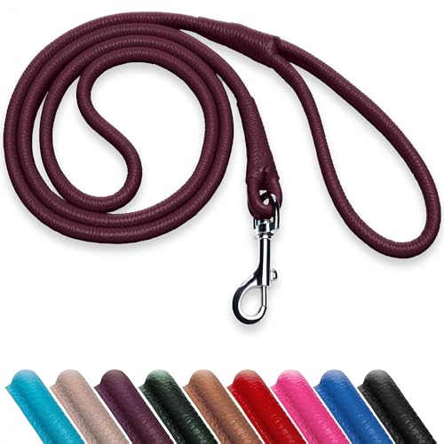 OOPSDOGGY Hundeleine aus gerolltem Leder, 1,8 m, robuste Trainingsleine für kleine, mittelgroße und große Hunde und Welpen, Schwarz / Braun / Rot (Burgunderrot, L) von OOPSDOGGY