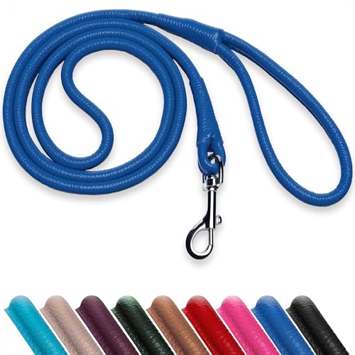 OOPSDOGGY Hundeleine aus gerolltem Leder, 1,8 m, robuste Trainingsleine für kleine, mittelgroße und große Hunde und Welpen, Schwarz / Braun / Rot (Marineblau, L) von OOPSDOGGY