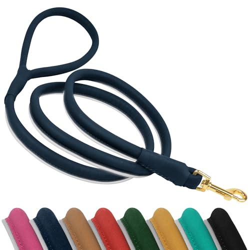 OOPSDOGGY Reflektierende Hundeleine aus gerolltem Leder, 1,8 m, langlebig, für kleine, mittelgroße und große Hunde, Blau, Größe S von OOPSDOGGY