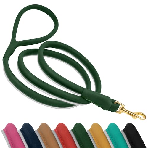 OOPSDOGGY Reflektierende Hundeleine aus gerolltem Leder, 1,8 m, langlebig, für kleine, mittelgroße und große Hunde, Grün, Größe L von OOPSDOGGY