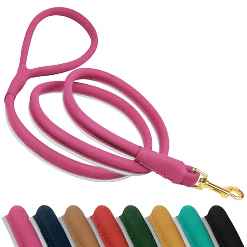 OOPSDOGGY Reflektierende Hundeleine aus gerolltem Leder, 1,8 m, langlebig, für kleine, mittelgroße und große Hunde, Rosa, Größe L von OOPSDOGGY