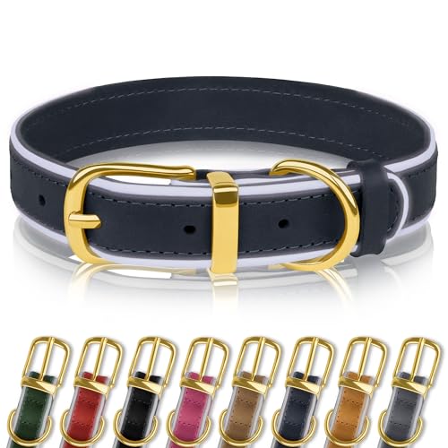 OOPSDOGGY Reflektierendes Hundehalsband aus echtem Leder, weich gepolstert, für kleine, mittelgroße und große Rassen, Hunde, Welpen, 4 Größen, 8 Farben (Blau, 22,9 - 30,5 cm) von OOPSDOGGY