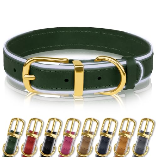OOPSDOGGY Reflective Genuine Leather Dog Collars Soft Padded Collars for Small Medium Large Puppy 4 Sizes 8 Colors (Grün, 48,3-61 cm) von OOPSDOGGY