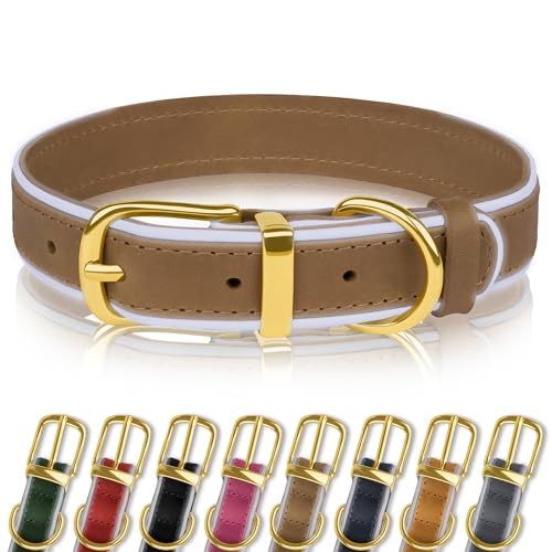 OOPSDOGGY Reflektierendes Hundehalsband aus echtem Leder, weich gepolstert, für kleine, mittelgroße und große Rassen, Hunde, Welpen, 4 Größen, 8 Farben (Braun, 22,9 - 30,5 cm) von OOPSDOGGY