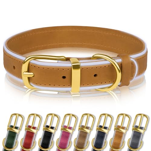 OOPSDOGGY Reflective Genuine Leather Dog Collars Soft Padded Collars for Small Medium Large Puppy 4 Sizes 8 Colors (Kamel, 38,1-48,3 cm) von OOPSDOGGY