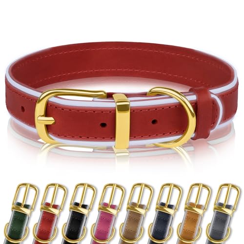 OOPSDOGGY Reflective Genuine Leather Dog Collars Soft Padded Collars for Small Medium Large Puppy 4 Sizes 8 Colors (Rot, 23 – 30 cm) von OOPSDOGGY