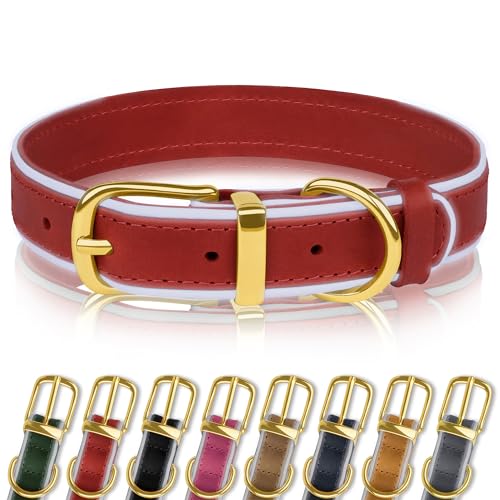 OOPSDOGGY Reflektierendes Hundehalsband aus Leder, Rot, 38,1 - 48,3 cm von OOPSDOGGY