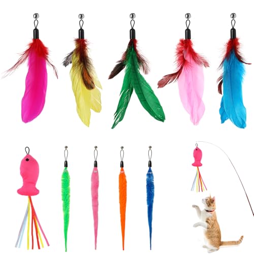 OOTSR 10 Stück Feder Katzenspielzeug Interaktiv Katzenspielzeug Ersatzfedern Teaser Katzen Spielzeug mit Glocken Nachfüllpackungen für Innenkatzen Kätzchen OOTSR 10 Stück Feder Katzenspielzeug Interaktiv Katzenspielzeug Ersatzfedern Teaser Katzen Spielzeug mit Glocken Nachfüllpackungen für Innenkatzen Kätzchen von OOTSR