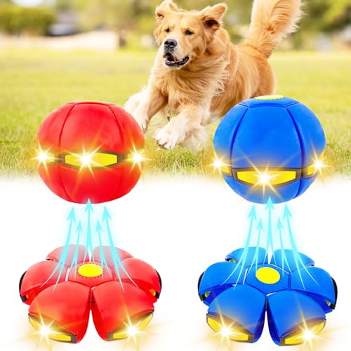 OOXYG 2 Stück Haustierspielzeug mit fliegender Untertasse, Ball für Hunde, interaktives Hundespielzeug für mittelgroße und große Hunde, tragbarer Hunde-Scheibenball für Outdoor-Spiele, 3 hellrot + OOXYG 2 Stück Haustierspielzeug mit fliegender Untertasse, Ball für Hunde, interaktives Hundespielzeug für mittelgroße und große Hunde, tragbarer Hunde-Scheibenball für Outdoor-Spiele, 3 hellrot + von OOXYG