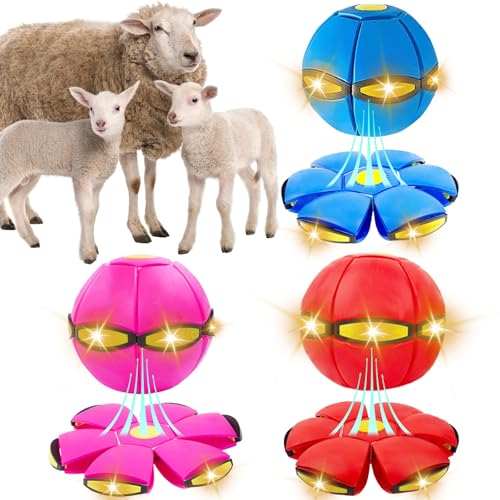 OOXYG 3 x Haustierspielzeug, fliegende Untertasse, Ball, Hundespielzeug mit 3 Lichtern für interaktiven Hund, Outdoor-Ball, Hunde-Ball, Rot + Blau + Rosa OOXYG 3 x Haustierspielzeug, fliegende Untertasse, Ball, Hundespielzeug mit 3 Lichtern für interaktiven Hund, Outdoor-Ball, Hunde-Ball, Rot + Blau + Rosa von OOXYG