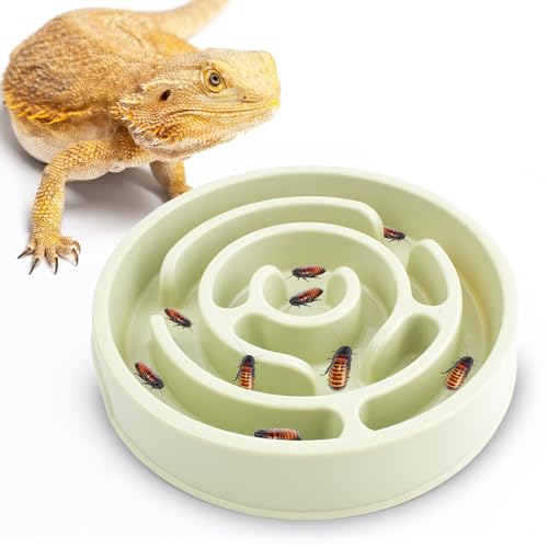 OOXYG Bartdrachen Feeder Labyrinth-Schüssel Puzzle Bartdrachen Feeder Bartdrachen Futternapf Slow Feeder Reptilienfutter Futternapf zum Verlangsamen des Essens Wurm Dubia Cricket Anti-Escape OOXYG Bartdrachen Feeder Labyrinth-Schüssel Puzzle Bartdrachen Feeder Bartdrachen Futternapf Slow Feeder Reptilienfutter Futternapf zum Verlangsamen des Essens Wurm Dubia Cricket Anti-Escape von OOXYG