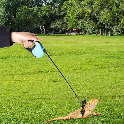 OOXYG Hundeleine und Geschirr für Bartdrachen, 3 Größen, verstellbar, Eidechsenleder, Flügelleine, Spielzeug mit einziehbarem Kleintier-Traktionsseil, Wanderweste, weiche Leine für Reptilien, OOXYG Hundeleine und Geschirr für Bartdrachen, 3 Größen, verstellbar, Eidechsenleder, Flügelleine, Spielzeug mit einziehbarem Kleintier-Traktionsseil, Wanderweste, weiche Leine für Reptilien, von OOXYG