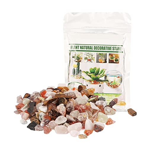 OPPWONG Aquariumkies, 100g River Fels Cactus PEA Kies Aquarium Gesteine Kieselsteine für Innenpflanzen Dekorative Polierte Felsen für Gartenarbeit, Blumentöpfe, Vase -Füllstoffe, OPPWONG Aquariumkies, 100g River Fels Cactus PEA Kies Aquarium Gesteine Kieselsteine für Innenpflanzen Dekorative Polierte Felsen für Gartenarbeit, Blumentöpfe, Vase -Füllstoffe, von OPPWONG