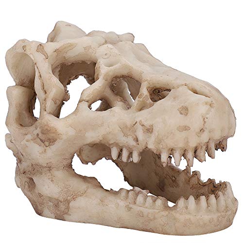 Dinosaurierschädel, Fischbox Kleiner Schädel Aquarium Dekorationen Dinosaurier Skelette Aquarium Ornamente Skelettloch Künstliche Dinosaurierschädel Skelettverzier für Dinosaurierschädel, Fischbox Kleiner Schädel Aquarium Dekorationen Dinosaurier Skelette Aquarium Ornamente Skelettloch Künstliche Dinosaurierschädel Skelettverzier für von OPPWONG