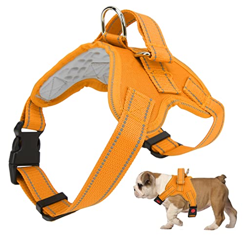 OPPWONG Hundekabelbaum, Einstellbare Reflektierende Oxford -Haustier -Kabelbaum -Katzen -Kabelbaum -Welpenkabelbaum und Leinen -Set -Training (S geeignet für den Kopfumfang 36-41 von OPPWONG