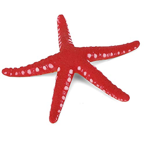 OPPWONG Seesterndekor, Seestern Aquarium Dekoration Aquarium Dekor Seesternverzierungen Luminöser Simulation Künstlicher Seesternverzier für Fischbox Home Hochzeitstisch Dekor DIY Bastel OPPWONG Seesterndekor, Seestern Aquarium Dekoration Aquarium Dekor Seesternverzierungen Luminöser Simulation Künstlicher Seesternverzier für Fischbox Home Hochzeitstisch Dekor DIY Bastel von OPPWONG