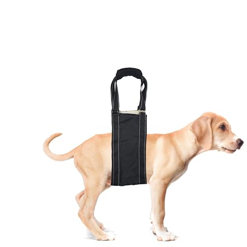 Ergonomisches, verstellbares Hundegeschirr mit Griffen, langlebig, weich gepolstert, reflektierend und maschinenwaschbar, perfekt für ältere Haustiere mit Mobilitätsproblemen – XL Ergonomisches, verstellbares Hundegeschirr mit Griffen, langlebig, weich gepolstert, reflektierend und maschinenwaschbar, perfekt für ältere Haustiere mit Mobilitätsproblemen – XL von OPTIMUM