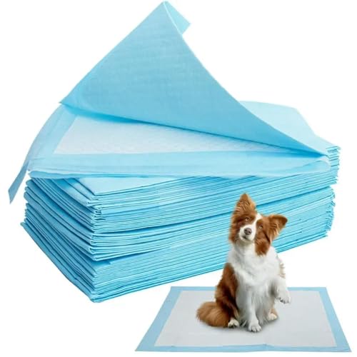 10 Teile/los Saugfähige Haustier Windel Hund Training Pee Pads Einweg Urin Windel Matte Für Katzen Hund Windeln Käfig Matte Pet liefert 10 Teile/los Saugfähige Haustier Windel Hund Training Pee Pads Einweg Urin Windel Matte Für Katzen Hund Windeln Käfig Matte Pet liefert von OPica
